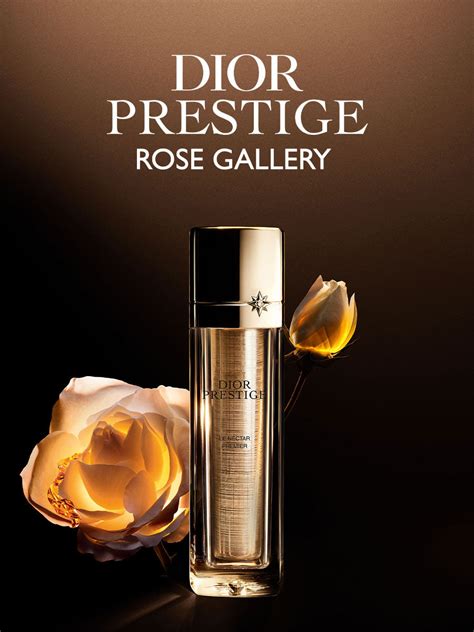 prestige dior rose|dior prestige rose gallery.